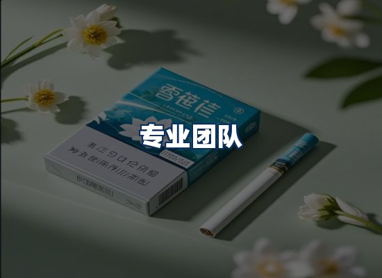 专业团队
